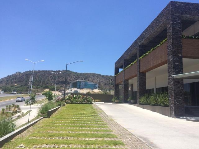 Foto de la galeria de imagenes